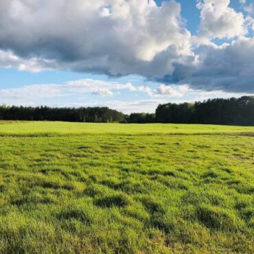 6 Kaimų žygis (Paluknys, Trakų raj.)