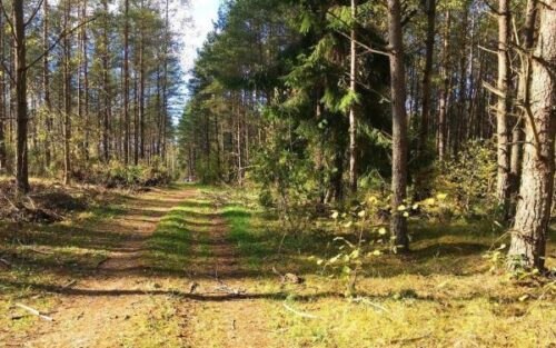 12 kaimų žygis (Paluknys)