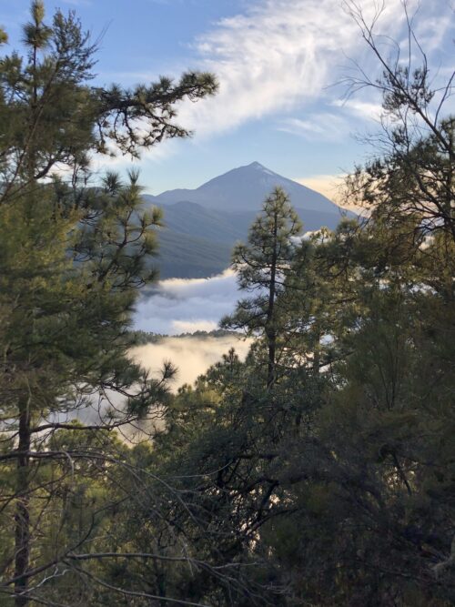 Tenerife (GR131)