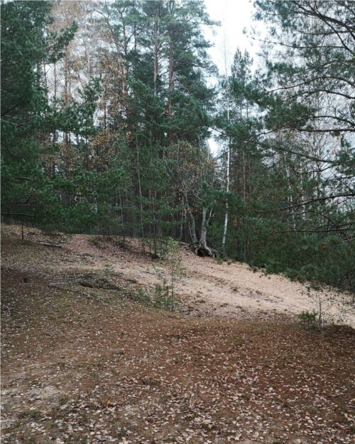 3 bunkerių keliu (Vaidlėnai, Rokiškio raj.)
