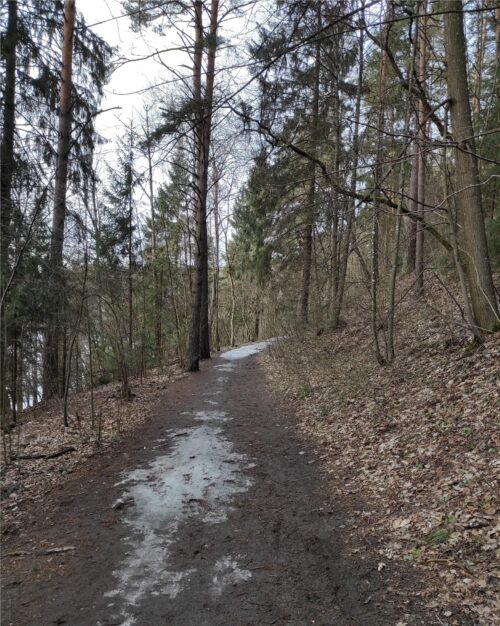 Žaliųjų ežerų žygis (Vilnius)