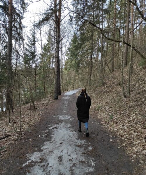 Žaliųjų ežerų žygis (Vilnius)