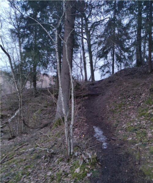 Žaliųjų ežerų žygis (Vilnius)