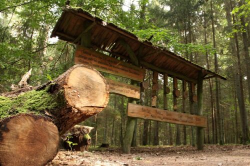 Mokomasis – pažintinis Girinio takas (Krekenava, Panevėžio raj.)