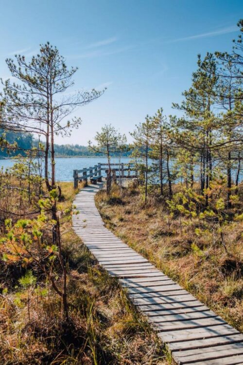 Trakų takais 15 km