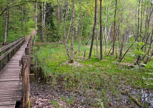 Trakų takais 15 km