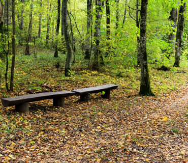 Trakų takais 42 km