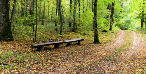 Trakų takais 15 km