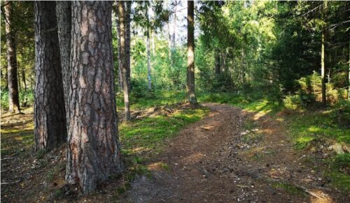 Kurtuvėnų žygis (Kurtuvėnai, Šiauliai)