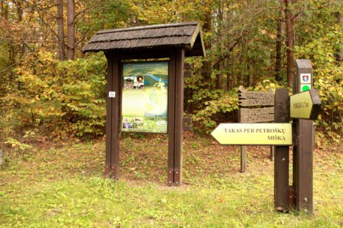 Petroškų mišku (Petroškai, Lazdijų raj.)