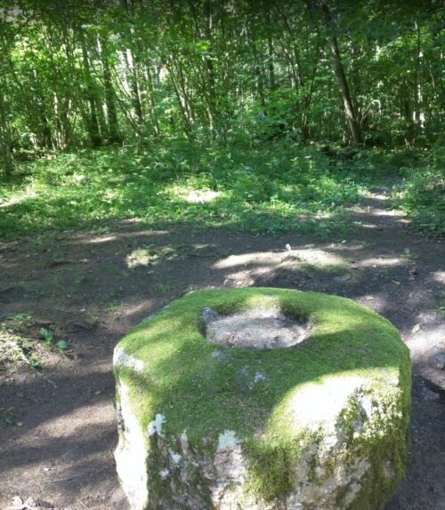 Šavašos pažintinis takas (Antaliepė, Zarasų raj.)