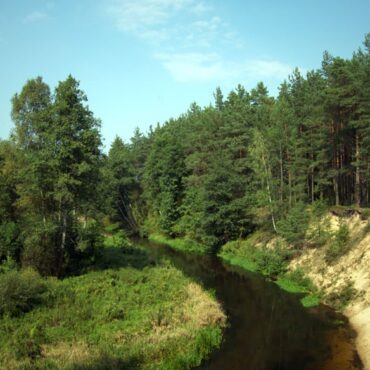 Žodis girios draugui (Valkininkai, Varėnos raj.)