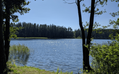 Labanoro pažintinis takas (Labanoras, Švenčionių raj)