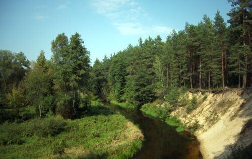 Žodis girios draugui (Valkininkai, Varėnos raj.)
