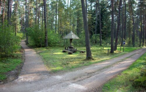 Žodis girios draugui (Valkininkai, Varėnos raj.)
