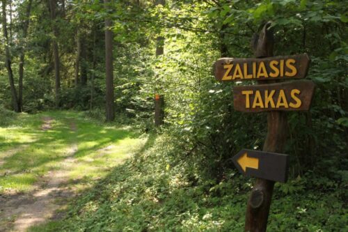 Spindžiaus žygis (Strėva, Trakų raj.)