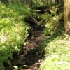 Velnio keliais 55 km (Aukštadvaris, Trakų raj.)
