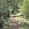 Velnio keliais 55 km (Aukštadvaris, Trakų raj.)