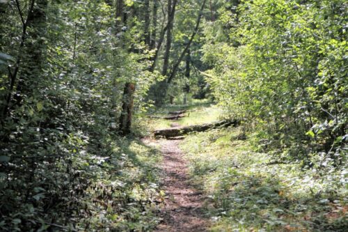 Spindžiaus žygis (Strėva, Trakų raj.)