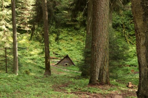 Spindžiaus žygis (Strėva, Trakų raj.)