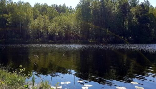 Tausalo žygis (Skurvydiškė, Telšių raj.)