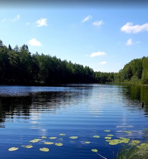 Tausalo žygis (Skurvydiškė, Telšių raj.)