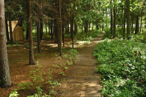 Uikių žygis (Uikiai, Mažeikių raj.)
