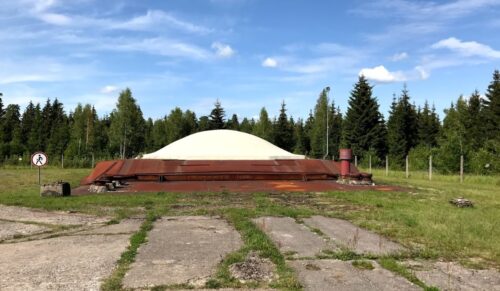 Pamedinčiai - Beržoras (Plateliai, Plungės raj.)