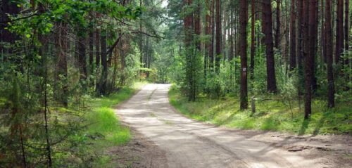 Mokomasis – pažintinis Girinio takas (Krekenava, Panevėžio raj.)