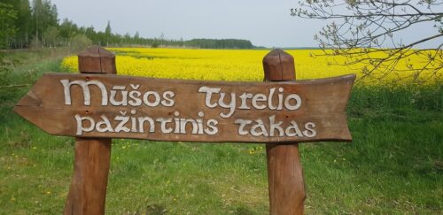 Gaižaičiai - Mūšos tyra  (Gaižaičiai, Joniškio raj.)