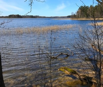Ilžikio ežero keliukais (Zarasų raj.)