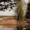Juodlos pažintinis takas (Šaukėnai, Kelmės raj.)