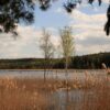 Juodlos pažintinis takas (Šaukėnai, Kelmės raj.)