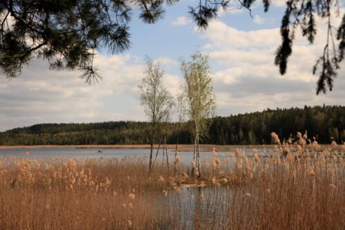 Juodlos pažintinis takas (Šaukėnai, Kelmės raj.)