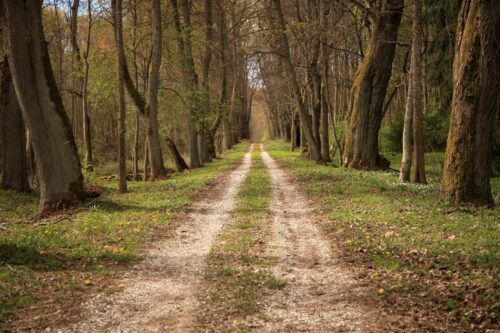 Šareiklaukio miško takas (Šareitlaukis, Pagėgių sav.)