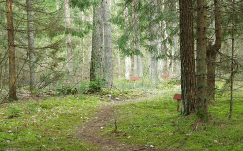 Miško turtų pažintinis takas (Karuziškės, Vilniaus raj.)