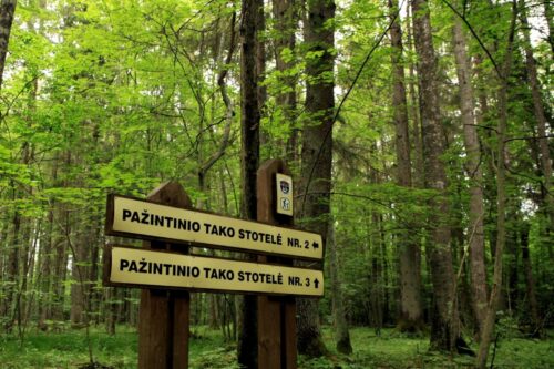 Dusetų girios pažintiniu taku (Žvirbliškės, Rokiškio raj.)