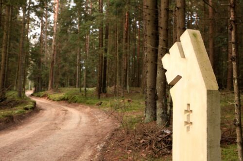 Algimanto apygardos partizanų kovų keliais (Svėdasai, Utenos raj.)