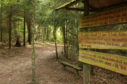 Girinio sveikatingumo takas (Marcinkonys, Varėnos raj.)