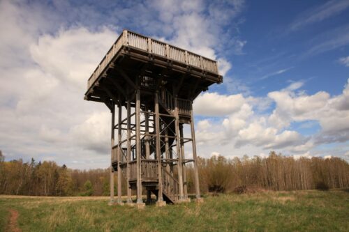 Šareiklaukio miško takas (Šareitlaukis, Pagėgių sav.)