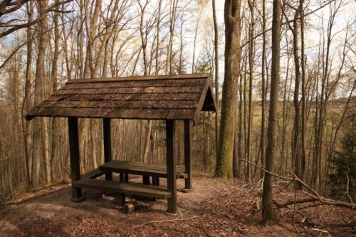 Šareiklaukio miško takas (Šareitlaukis, Pagėgių sav.)