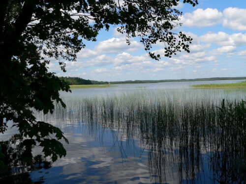 Smalvos ežerų turas (Visaginas)