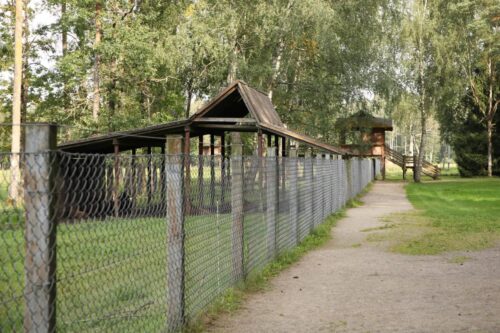 Pašilių stumbryno pažintinis takas (Ėriškiai, Panevėžio raj.)