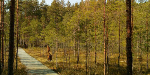 Šarkiškių skulptūrų takas (Joniškis, Vilniaus raj.)