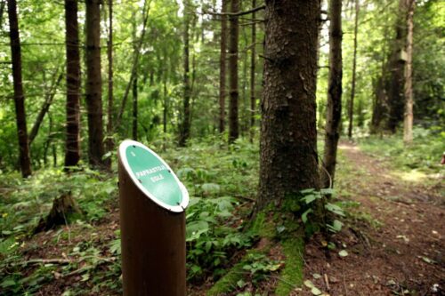 Padubysio pažintiniu taku (Padubysis, Raseinių raj.)