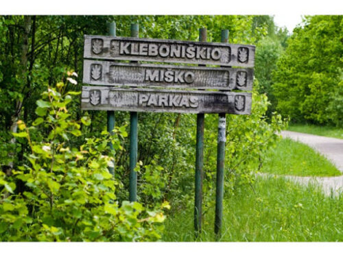 Pažinkime Kleboniškį! (Kaunas, Kleboniškio miškas)