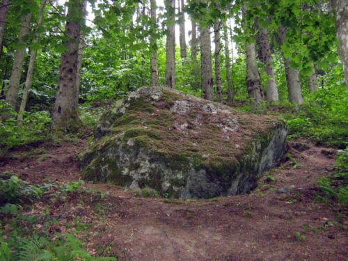Milžinų takais (Dvaronių k. 5, Anykščiai)