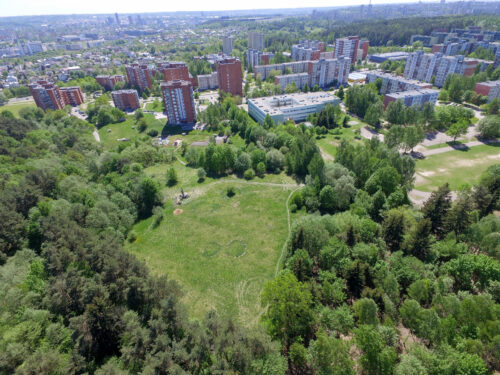Vilniaus ozas (Vilnius)