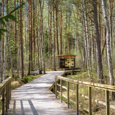 Pašilių stumbryno pažintinis takas (Ėriškiai, Panevėžio raj.)