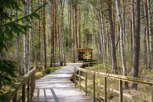 Pašilių stumbryno pažintinis takas (Ėriškiai, Panevėžio raj.)